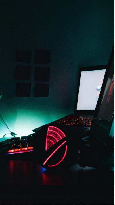 Galería 2